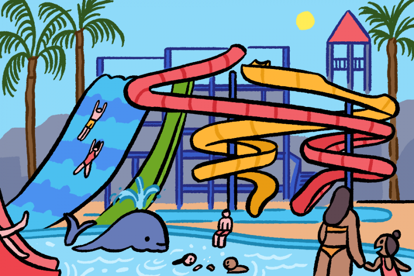 Definition Toboggan Frantastique Ortho